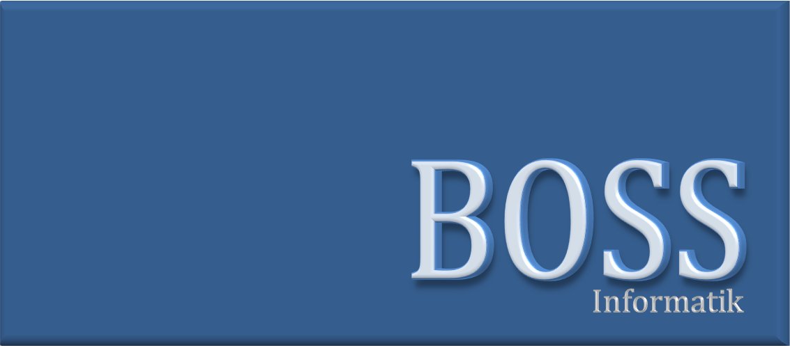 BOSS Informatik; WebBOSS 5.1 (build 003)